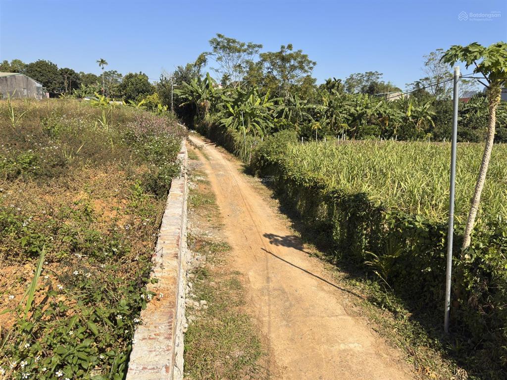 Chủ cần tiền gửi bán lô đất tại xã mường thàng, cao phong, hoà bình cũ
