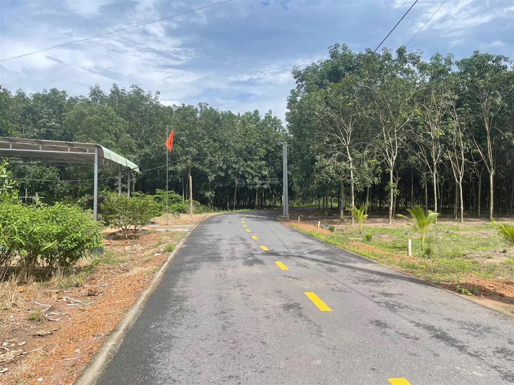 Chủ ngộp bank cần ra gấp 462,2m2 đất thổ cư gần chợ an thái, nay thuộc xã phước thành, tp.hcm, shr