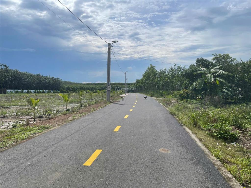 Chủ ngộp bank cần ra gấp 462,2m2 đất thổ cư gần chợ an thái, nay thuộc xã phước thành, tp.hcm, shr