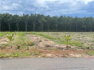 Chủ ngộp bank cần ra gấp 462,2m2 đất thổ cư gần chợ an thái, nay thuộc xã phước thành, tp.hcm, shr