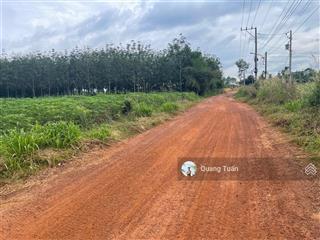 Ngộp bank cần ra lô đất sào gần ubnd tân hiệp cách trục đường chính dh507 chỉ 1km, sổ hồng riêng