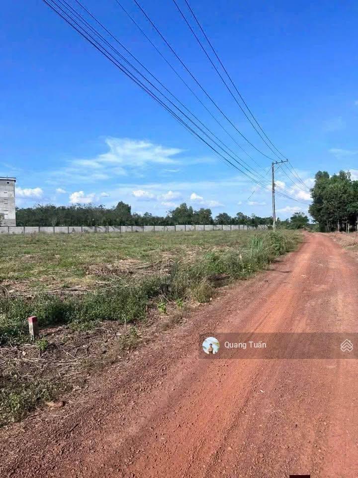 Cần ra 1 sào đất đẹp gần khu dân cư, thuộc tp. hcm cách đường tạo lực  bắc tân uyên chỉ 6km