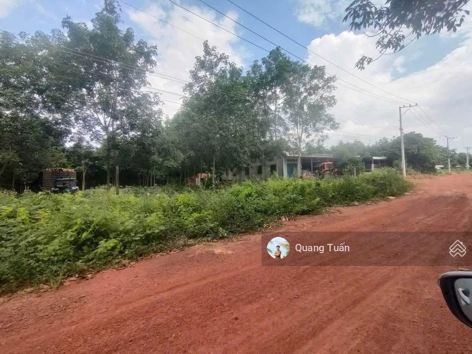 Cần ra 1 sào đất đẹp gần khu dân cư, thuộc tp. hcm cách đường tạo lực  bắc tân uyên chỉ 6km