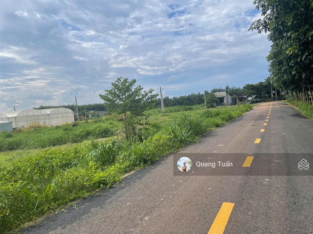Cần ra lô đất mặt tiền đường nhựa gần chợ an linh giá 480 triệu, dân cư đông đúc, sổ hồng riêng