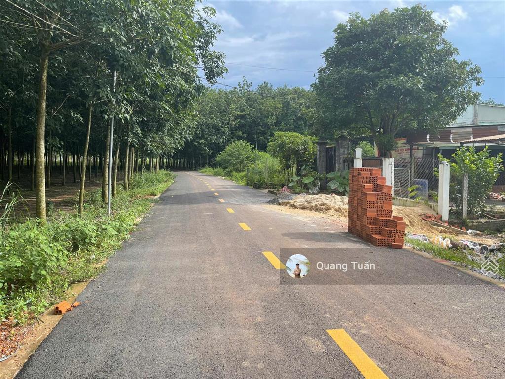 Cần ra lô đất mặt tiền đường nhựa gần chợ an linh giá 480 triệu, dân cư đông đúc, sổ hồng riêng