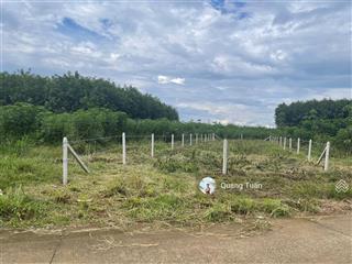 Chính chủ cần ra gấp lô đất 258,4m2 gần ubnd phước thành, tp. hcm, khu dân cư hiện hữu, sổ sẵn