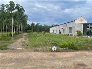 Ngộp bank cần ra lô đất đẹp thuộc xã phước thành, tp. hcm cạnh ubnd giá 520 triệu sổ hồng riêng