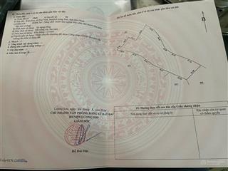 Bán gấp 27000m full đất trồng cây lâu năm tại tân vinh lương sơn hoà bình giá rẻ