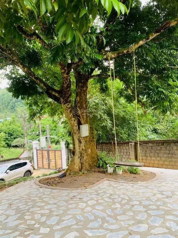 Khuôn viên hoàn thiện 1356m2 tại lâm sơn, lương sơn tìm chủ mới