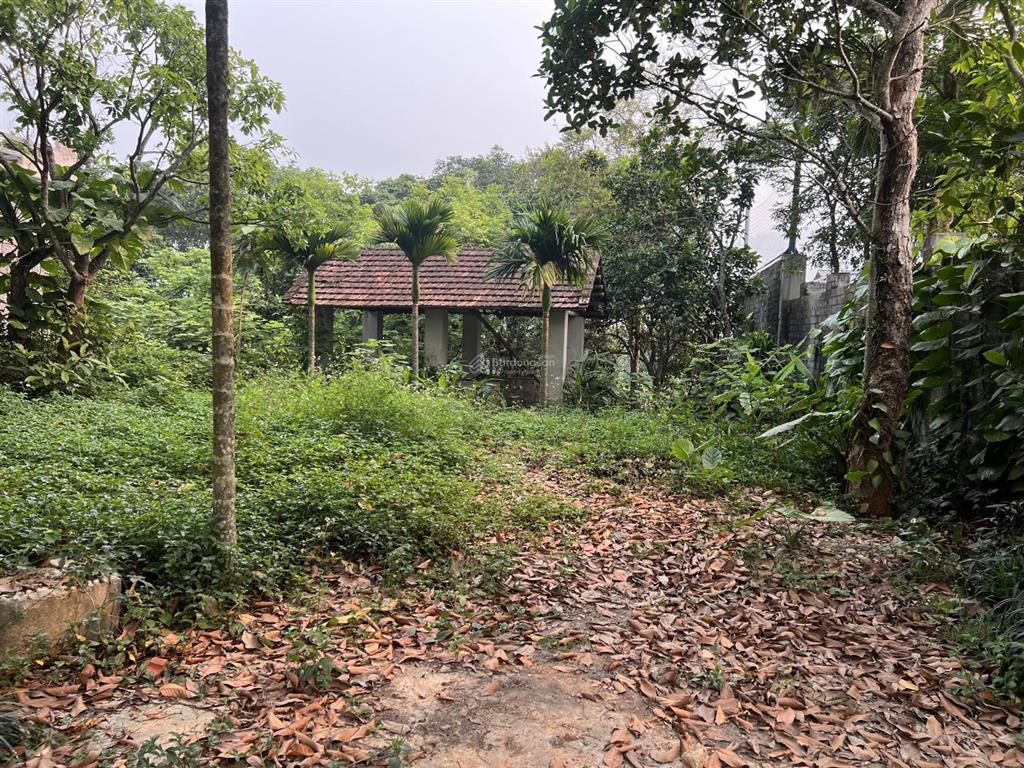 Bán khuôn viên hoàn thiện tại lâm sơn phong thuỷ và sinh thái đẹp