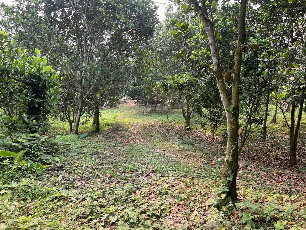 Bán gấp lô đất đẹp 999,9m có 400m đất ở nằm trong khu vực vip nhất về phong thuỷ và sinh thái