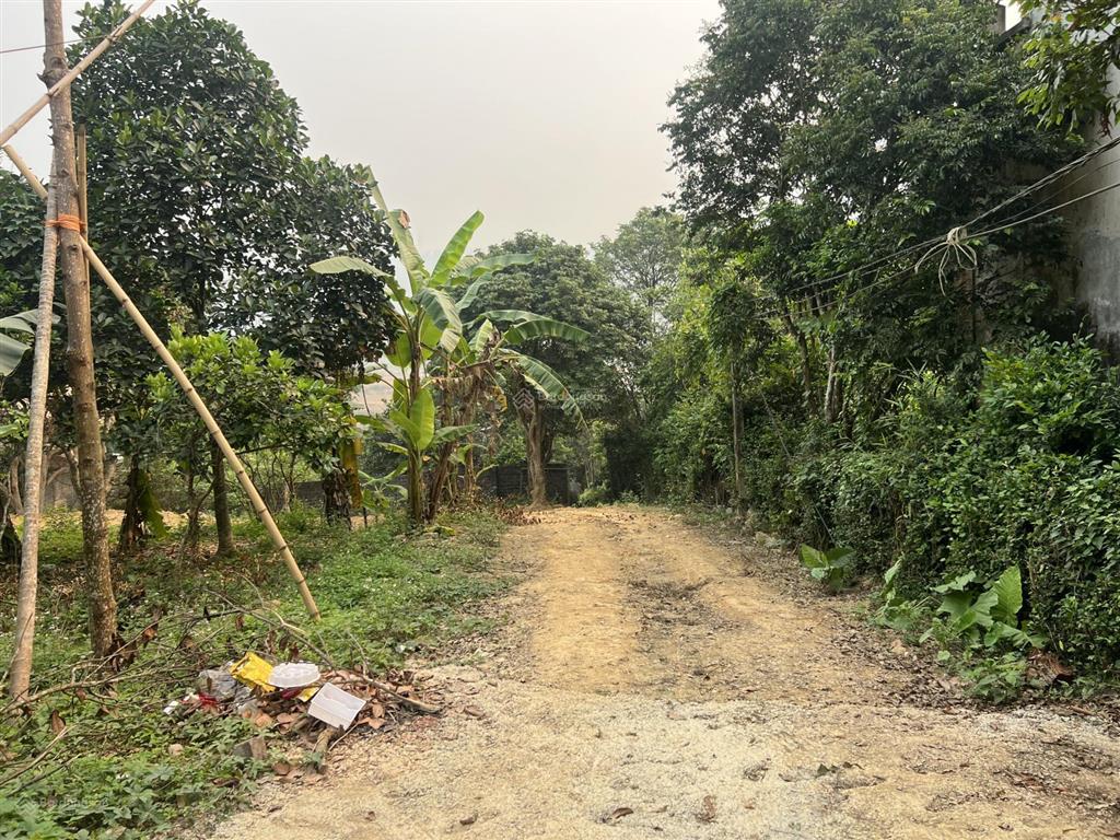 Bán gấp lô đất đẹp 999,9m có 400m đất ở nằm trong khu vực vip nhất về phong thuỷ và sinh thái