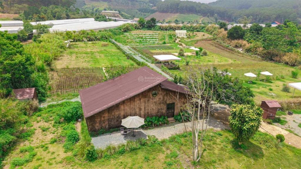 Bán 1.5 hecta đất tà nung  đà lạt sẵn 400m2 thổ cư, đường ô tô tận nơi
