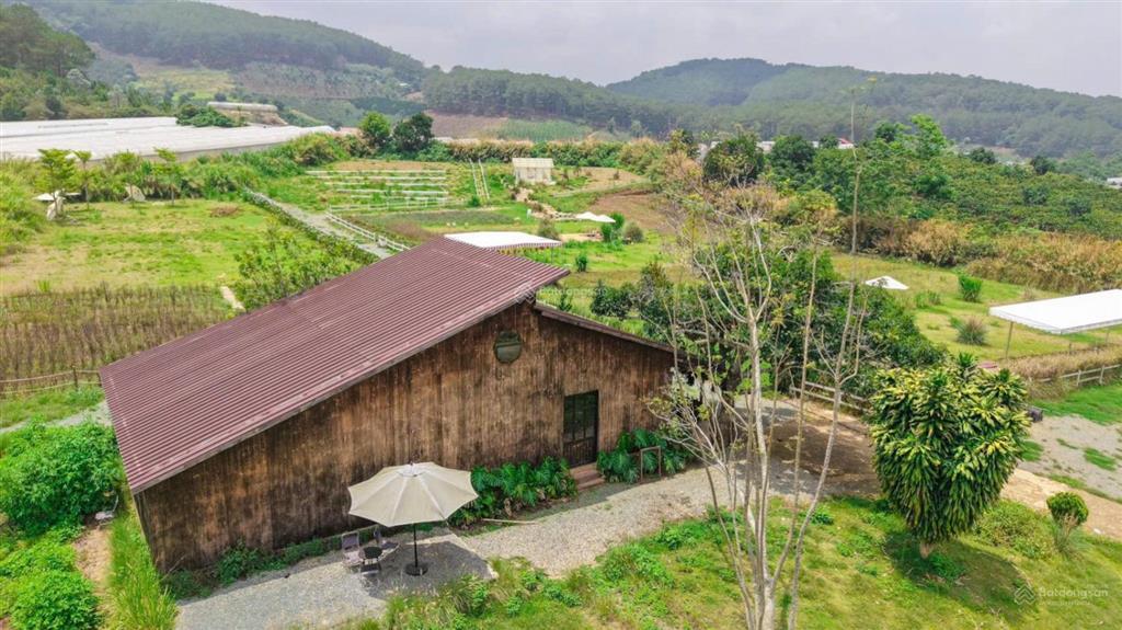 Bán 1.5 hecta đất tà nung  đà lạt sẵn 400m2 thổ cư, đường ô tô tận nơi