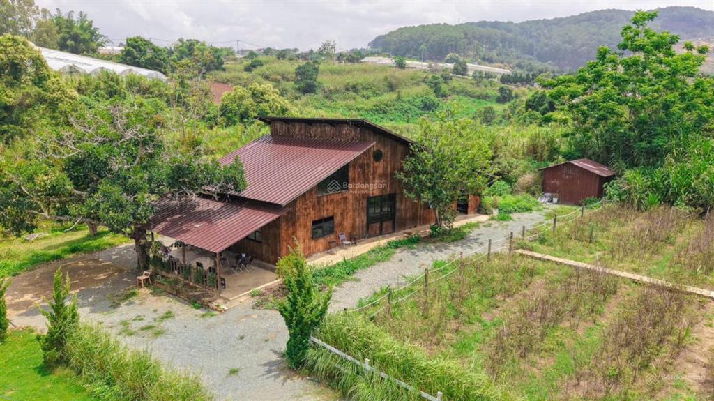 Bán 1.5 hecta đất tà nung  đà lạt sẵn 400m2 thổ cư, đường ô tô tận nơi