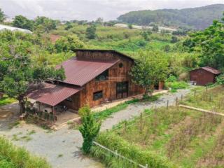 Bán 1.5 hecta đất tà nung  đà lạt sẵn 400m2 thổ cư, đường ô tô tận nơi