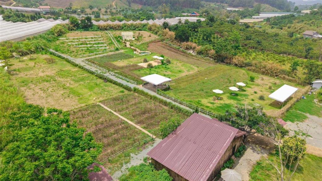 Bán 1.5 hecta đất tà nung  đà lạt sẵn 400m2 thổ cư, đường ô tô tận nơi