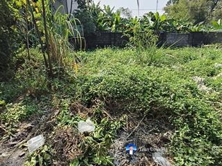 Đất họa đống, trường thịnh, 54m2, ôtô cách 15m, 1.6 tỷ ứng hòa.  0886 743 ***