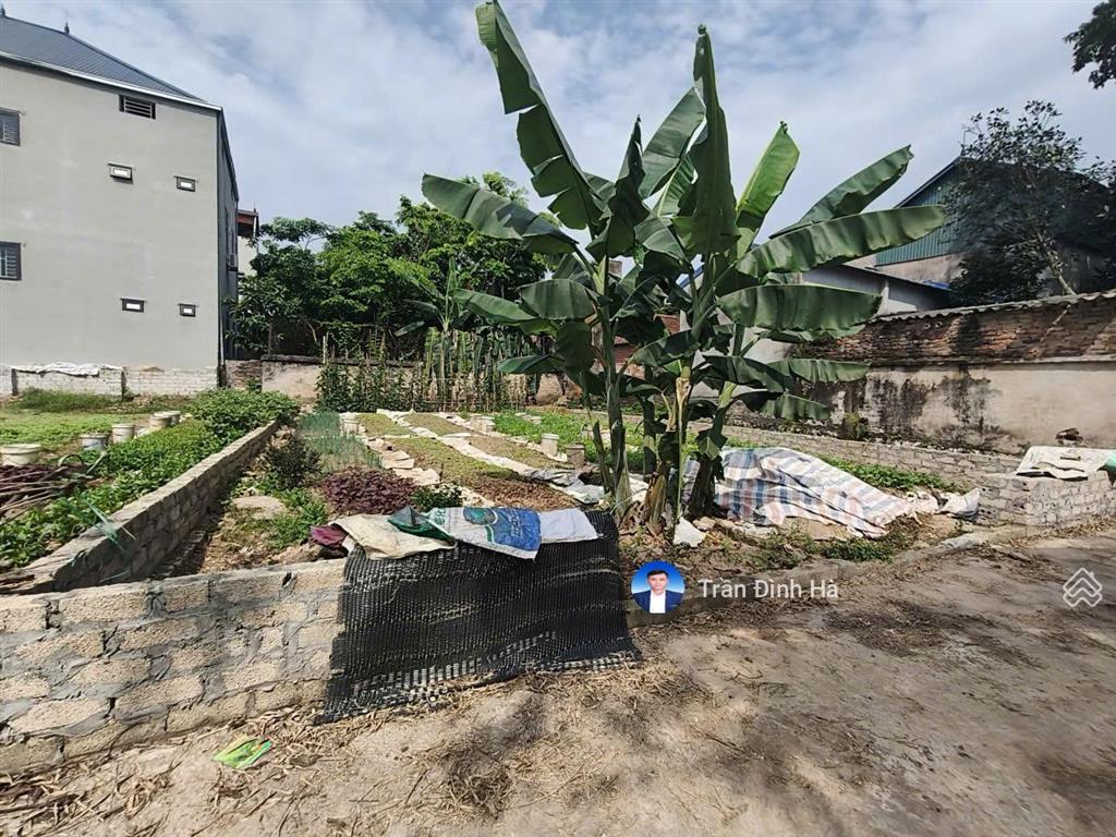 Đất xóm dộc phù yên, ứng thiên, ứng hòa, dt 147m2, 1.9 tỷ hà nội.  0914 766 ***