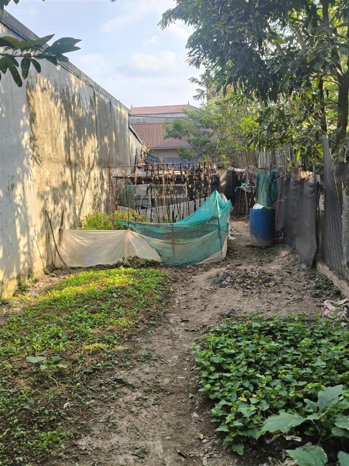 Đất thổ cư cao mật hạ, bình minh, dt 100m2, mt 5m, 5 tỷ thanh oai