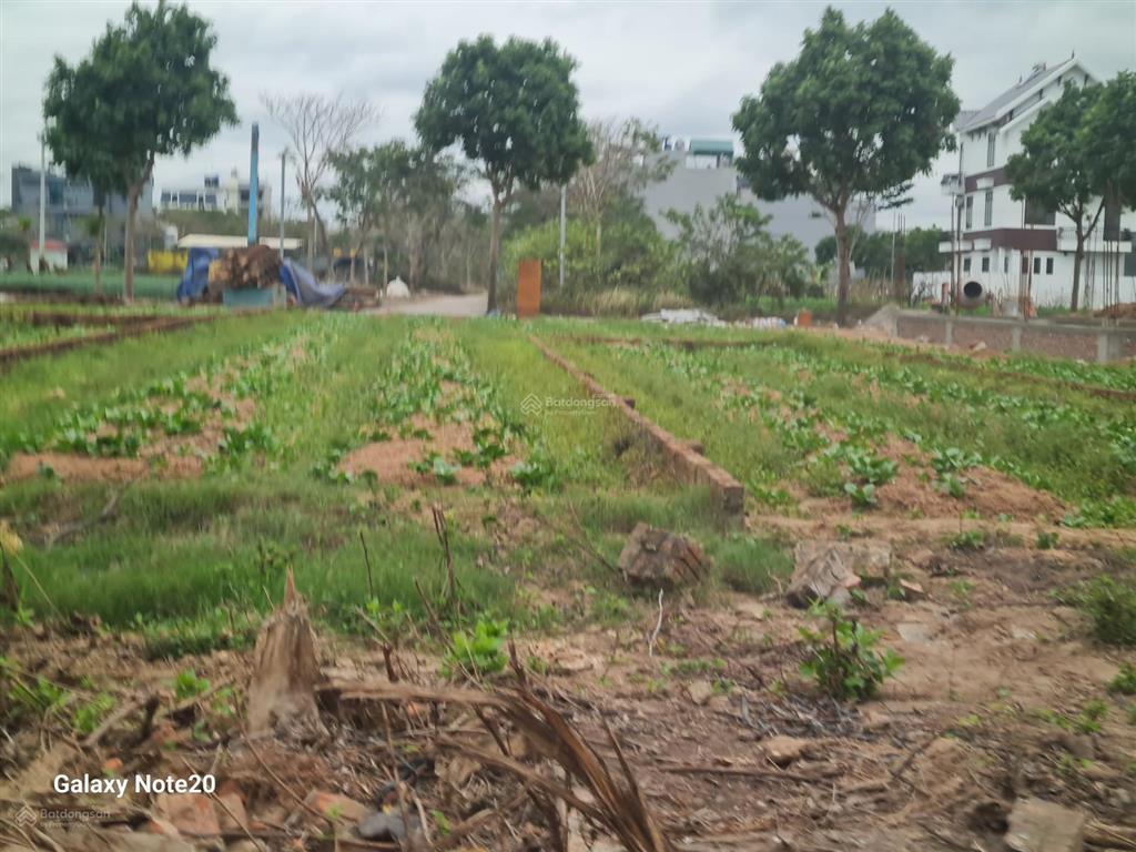 3,2 tỷ 100m đất khu a kđt cenco5 mê linh hà nội