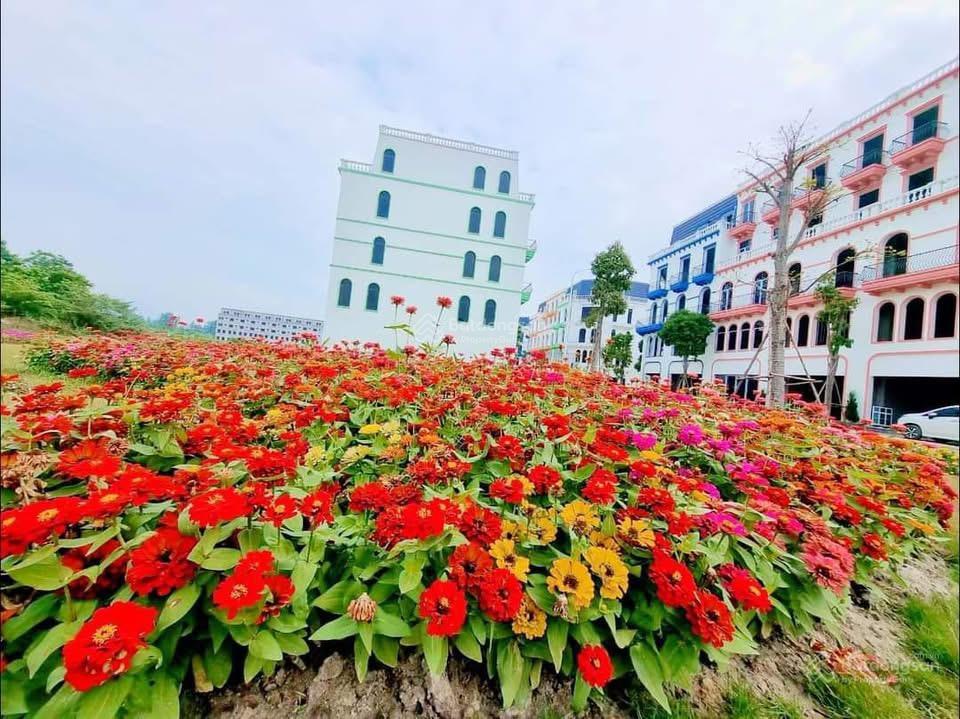 Bán nhanh liền kề shophouse sky garden giá 3 tỷ 980,  0981 693