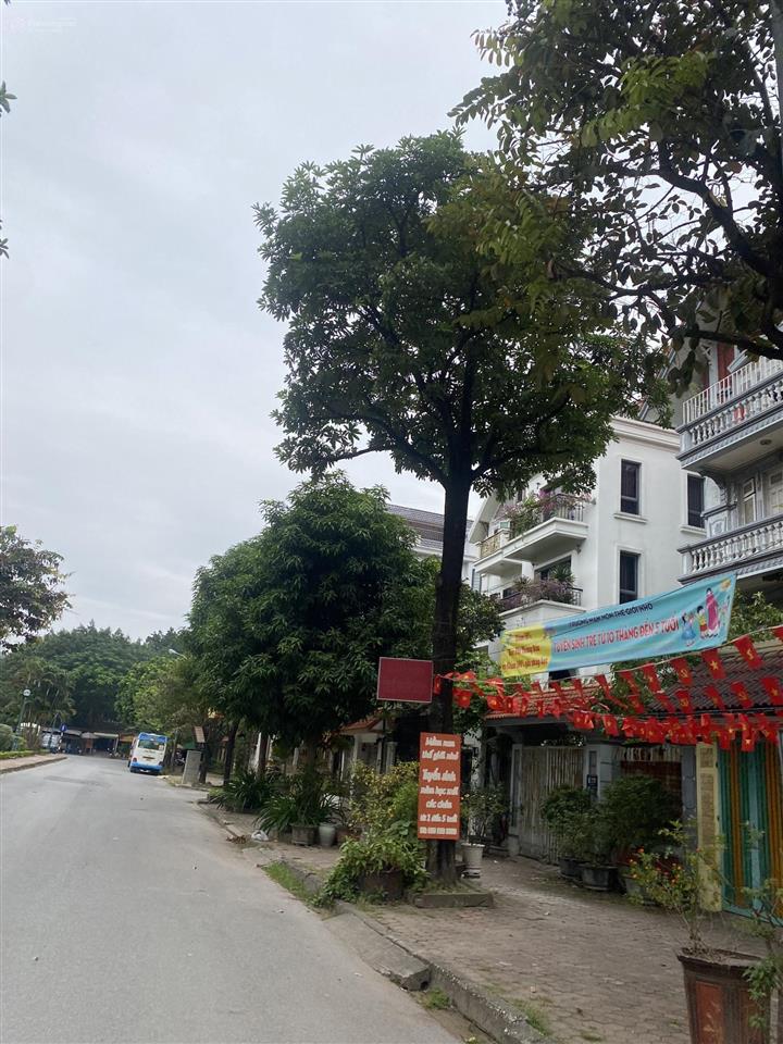 Mặt phố thịnh liệt, hoàng mai 48m2 x 7 tầng  kinh doanh, dòng tiền đều
