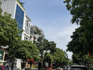 Làng việt kiều châu âu là kđt kiểu mẫu đáng sống của quận hà đông, quy hoạch bài bản, ở sướng
