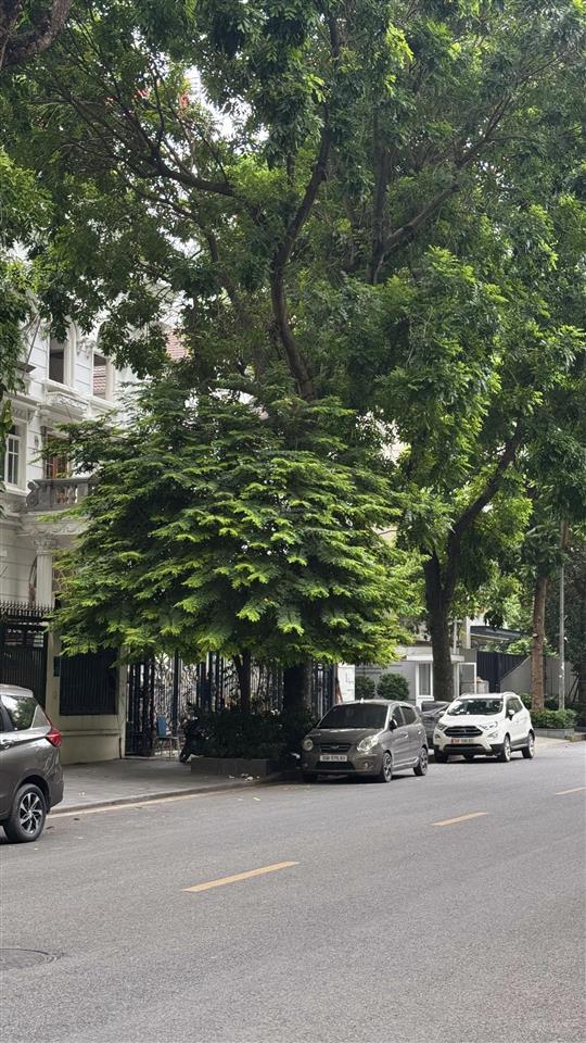 Phân lô ô tô tránh, view hồ linh đàm, 7 tầng thang máy hiện đại  trung tâm quận hoàng mai