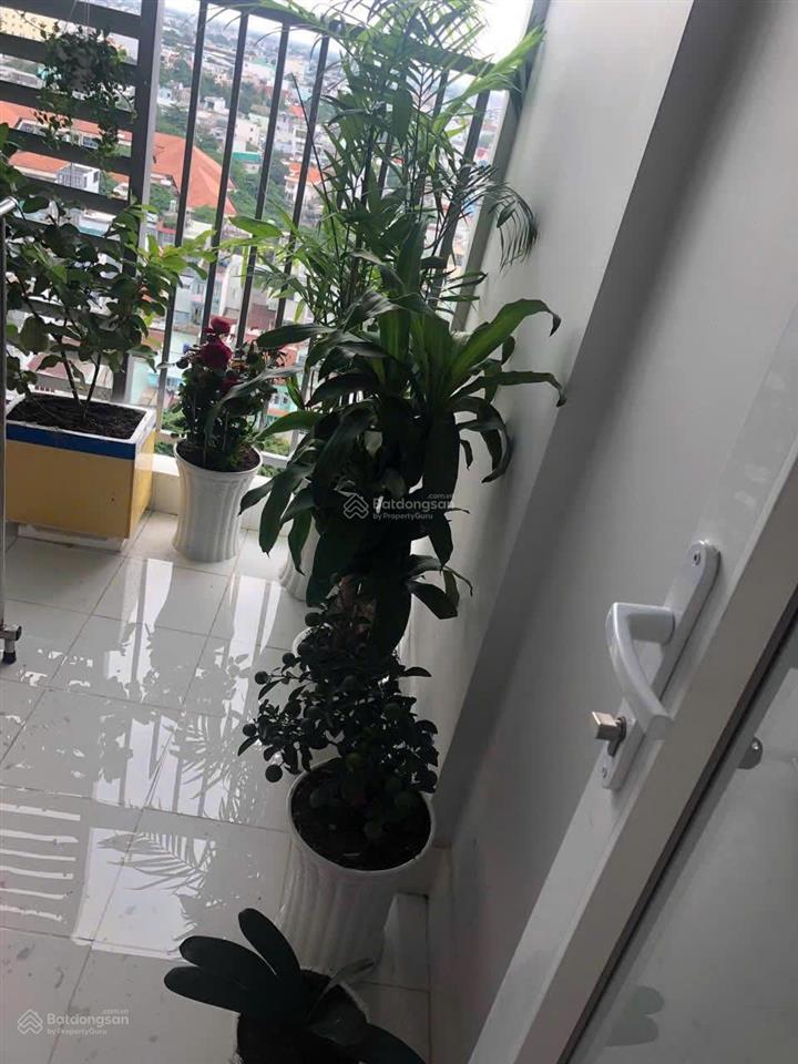 Cho thuê căn hộ chung cư profer plaza , diện tích 50 m2