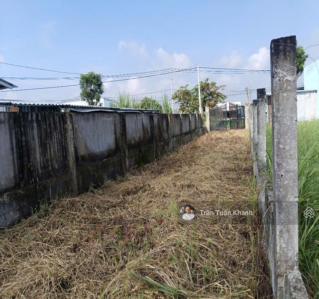 Mặt tiền quốc lộ 50 xã phước đông, cần đước, long an, 2435m2 full thổ cư giá chỉ 30 tỷ