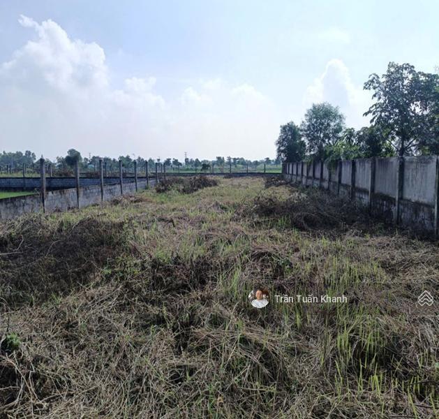 Mặt tiền quốc lộ 50 xã phước đông, cần đước, long an, 2435m2 full thổ cư giá chỉ 30 tỷ