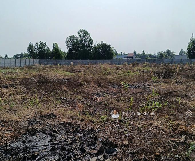 Càn chuyển nhượng quỹ đất 5,4 ha đất thổ cư mặt tiền đường đt 835d, cần đước, long an giá 399 tỷ
