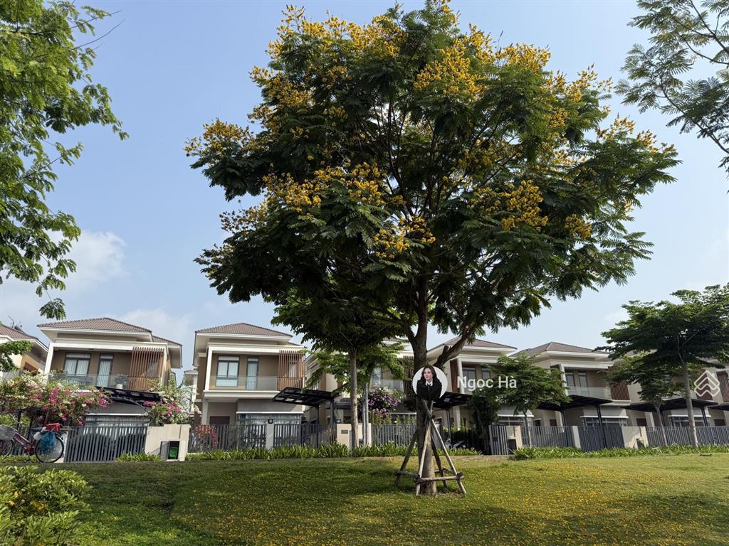 Biệt thự đơn lập 250m2 chỉ 6ty7