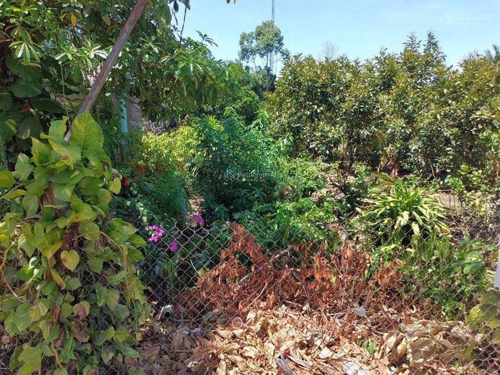 Chính chủ cần bán đất 10m x 44.8m, liền kề suối tự nhiên, mặt đường tỉnh lộ 721