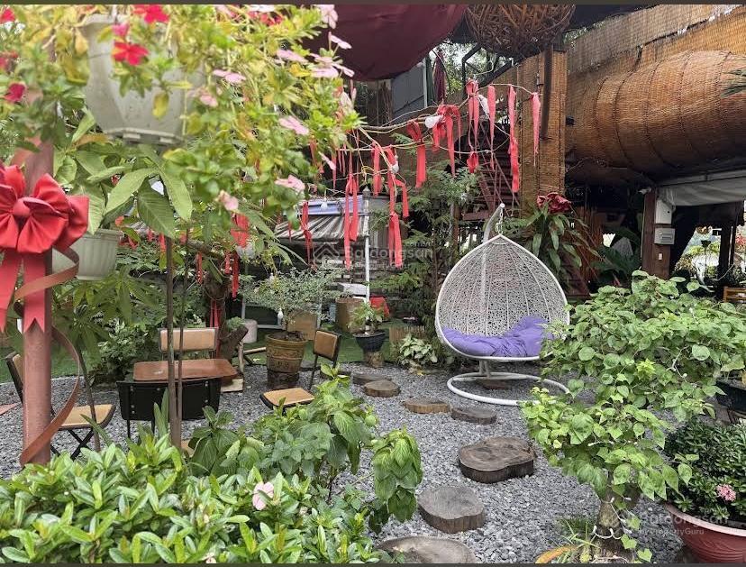 Sang nhượng toàn bộ quán cafe 1000m2 mặt tiền hà huy giáp  quận 12, thuê chỉ 8tr, lợi nhuận cao