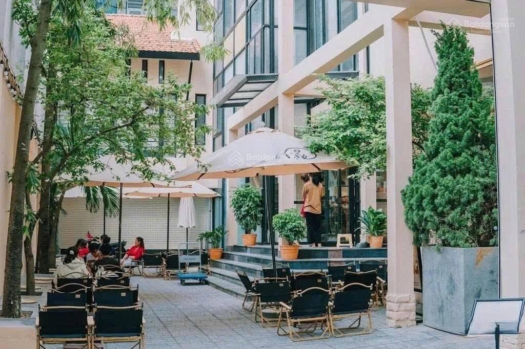 Quỹ đất hiếm phạm ngọc thạch 600m, ngang 25m, gpxd gần 3.000m sàn khu giới tinh hoagiá 148 tỷ!