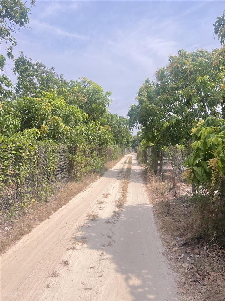 Chính chủ bán đất 4693m2 cam thành bắc, phân khu 3 sát cam đức