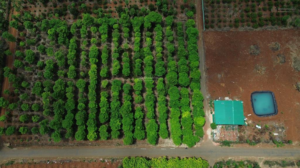 Đất mặt tiền phường thành nhất (khánh xuân cũ) chỉ 800 triệu