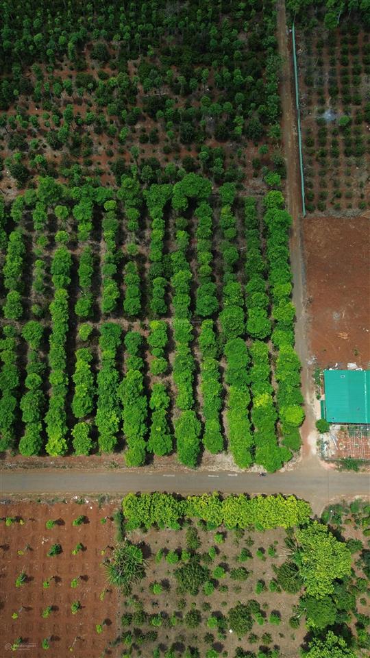 Đất mặt tiền phường thành nhất (khánh xuân cũ) chỉ 800 triệu