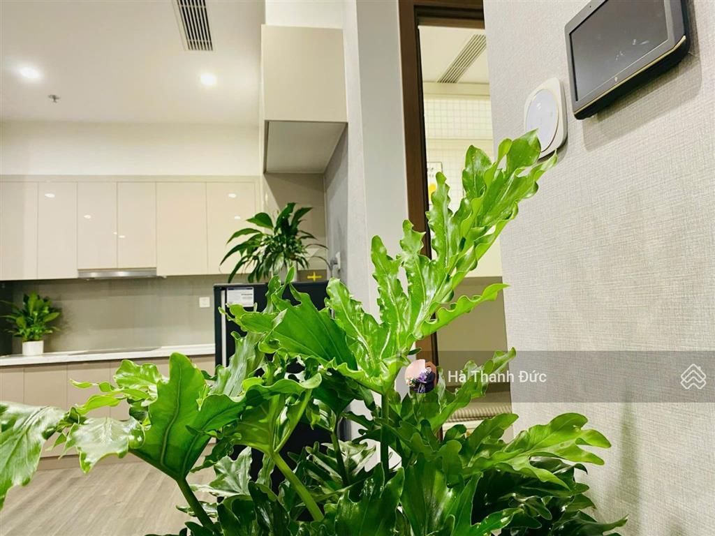 Chính chủ bán căn góc 2pn2wc 69m the zenpark giá chỉ 4,35 tỷ net