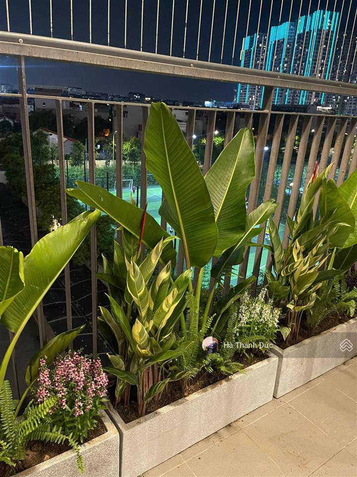 3 tỷ 350 sở hữu ngay căn góc 2 ngủ, 2 vệ sinh tại sapphire 1 vinhomes ocean park!