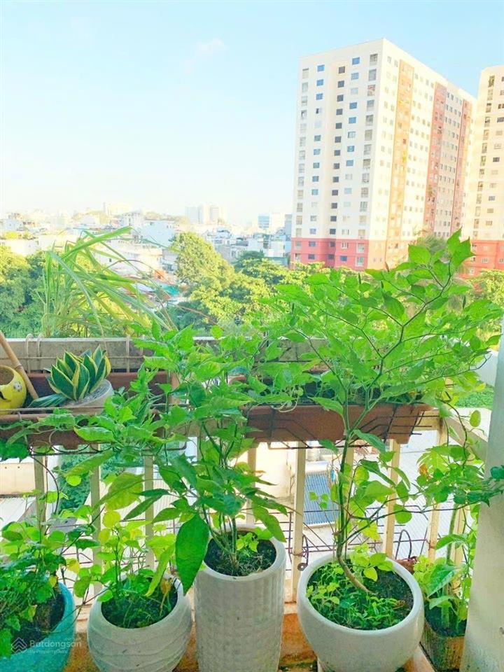 Bán gấp chung cư bình thạnh giáp q1, 3pn 2wc , căn góc thoáng