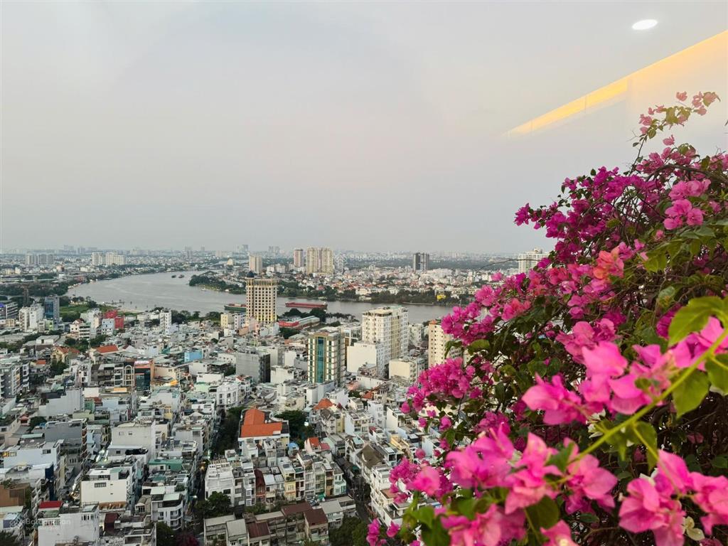 Thy bán gấp chung cư pearl plaza, 2pn 2wc, căn góc, full nt đẹp