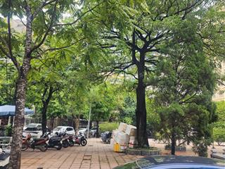 Bán liền kề đấu giá giãn dân đỗ nhuận, xuân đỉnh, phạm văn đồng, hà nội. ngay cv hòa bình...
