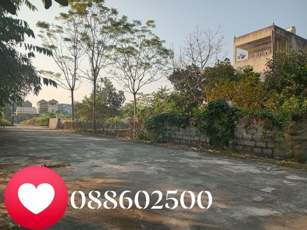 Đất khu phân lô CK2 Xuân Mai, Hà Nội, diện tích 80m² full thổ cư, đường 2 ô tô tránh giá rẻ