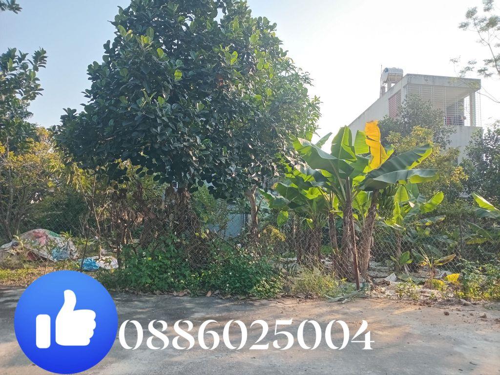 Đất khu phân lô CK2 Xuân Mai, Hà Nội, diện tích 80m² full thổ cư, đường 2 ô tô tránh giá rẻ