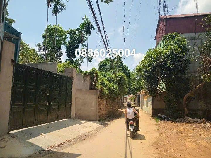 🔥 Đất Chương Mỹ - Mặt đường kinh doanh 🔴 Mảnh đất 469,9m² có sẵn Nhà Xưởng tại Sơn Đồng, Tiên Phương, Chương Mỹ 
