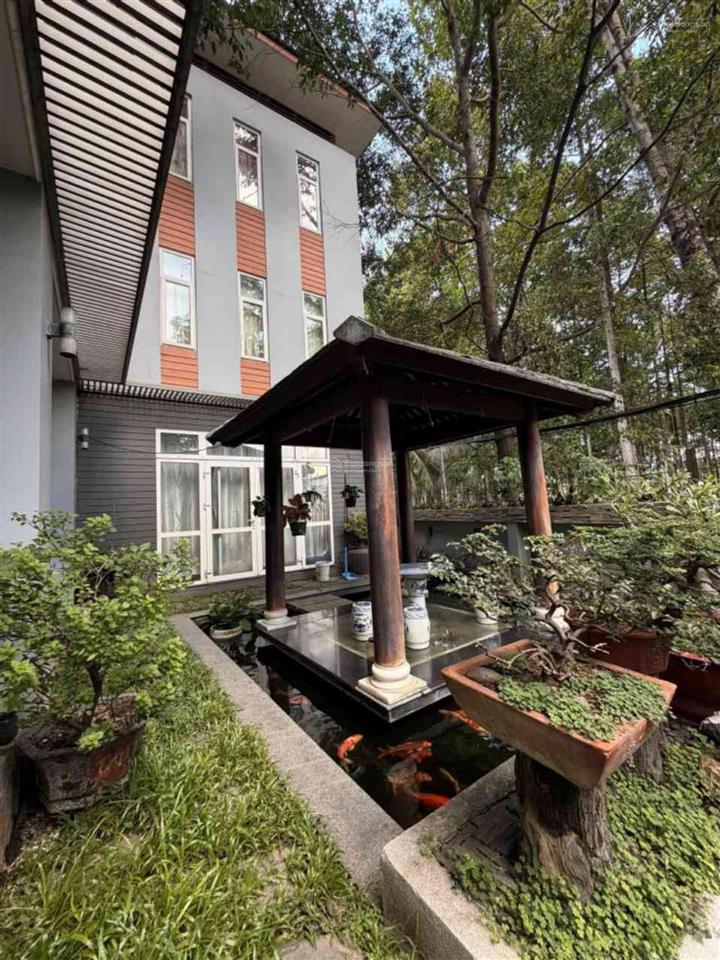 Biệt phủ kế bên công viên cây xanh của quân đội  274m2 (12.75x19 nở hậu)  5 tầng  hẻm xe hơi