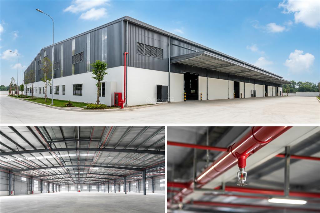 Cho thuê kho  nhà xưởng 1.000m mới xây  pccc tự động tại liên chiểu  giá chỉ 65k/m